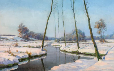 Snowy Landscape